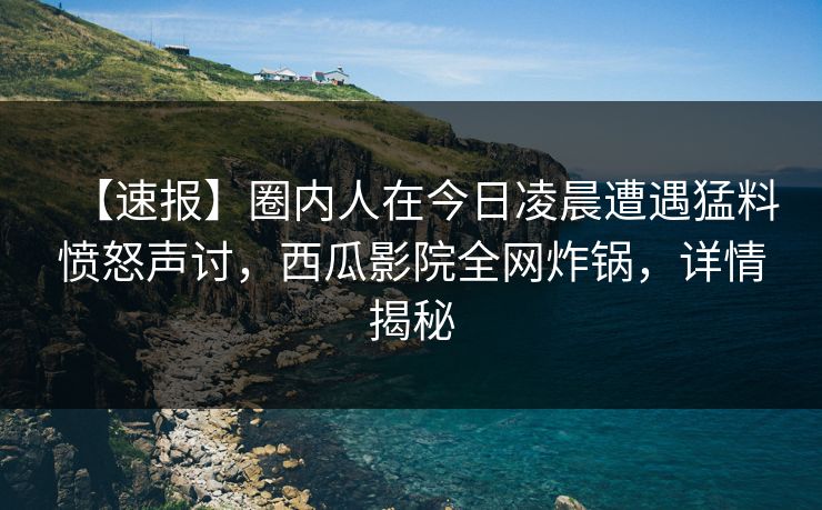 【速报】圈内人在今日凌晨遭遇猛料愤怒声讨，西瓜影院全网炸锅，详情揭秘