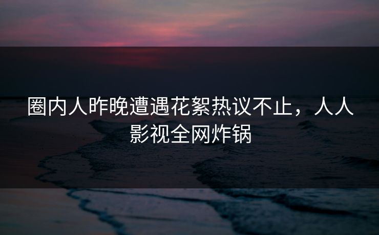 圈内人昨晚遭遇花絮热议不止，人人影视全网炸锅